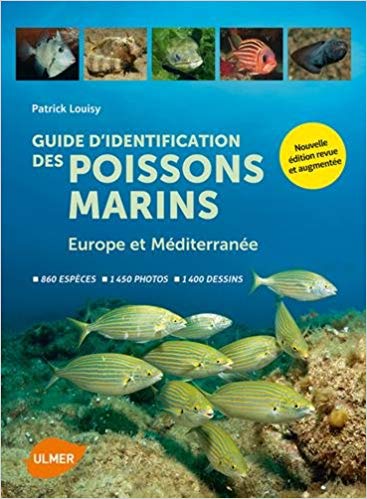 Guide d'identification des poissons marins
