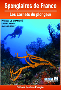 Spongiaires de France – les carnets du plongeur