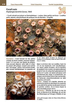 Guide des Anthozoaires de l'Europe de l'Ouest